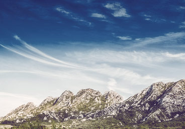 批发价格优惠的ddos攻击