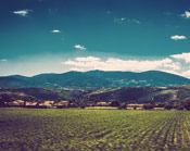 手机版ddos攻击器